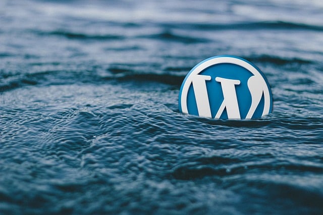 Qué son los plugins para WordPress: como instalarlos